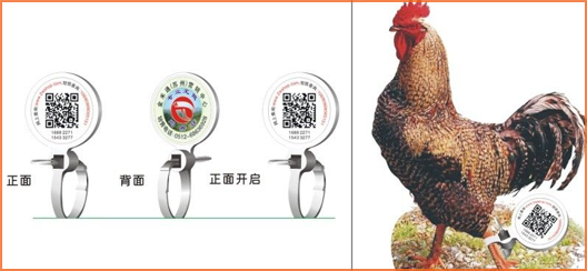 家禽溯源吊牌午夜免费电影標簽,消除食品安全隱患
