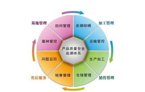 產品追溯係統有哪些公司，是怎樣開發係統的？