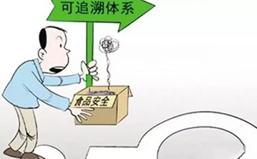 怎樣實現蔬菜的來龍去脈，追根溯源