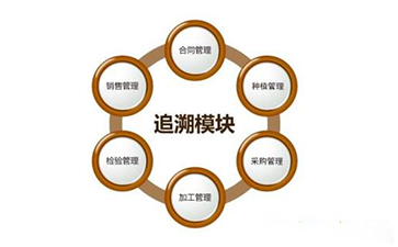 區塊鏈午夜免费电影溯源技術解決方案