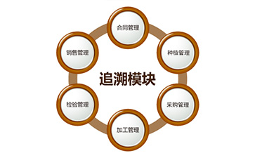二維碼午夜免费电影追溯係統具有哪些功能?能帶來什麽好處?