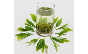茶葉二維碼午夜免费电影標簽可以帶來哪些優勢價值已經特點?